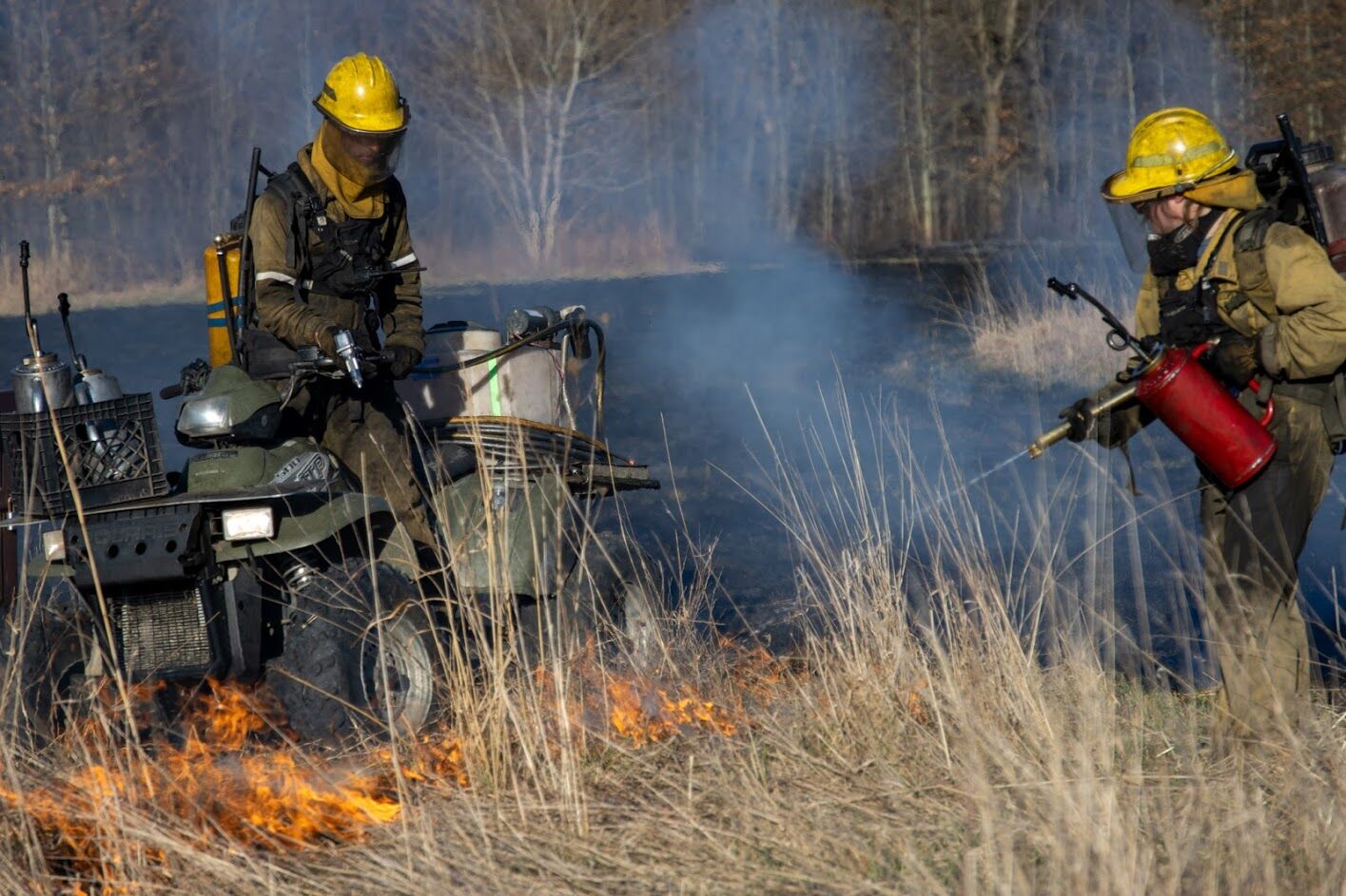 Asylum Lake Prescribed Burns.